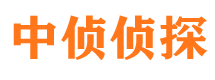 宝兴市私家侦探公司